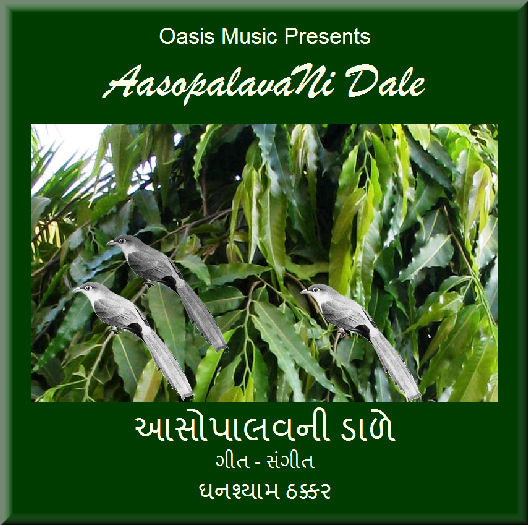 O Raaj Re - Oasis Thacker